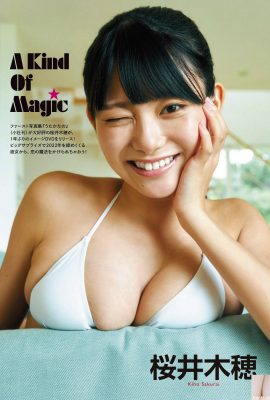 (Sakurai Kiho) Ngực căng tròn siêu hấp dẫn! Tôi quỳ với con số này (6P)