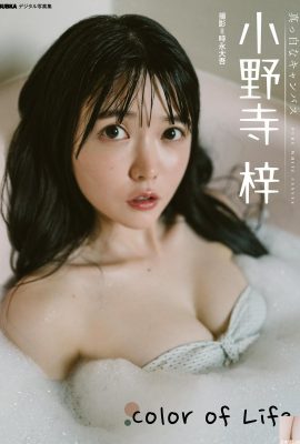(Azusa Onodera) Cô gái xứ hoa anh đào dù có săn chắc đến đâu cũng không thể giấu được ngực (21P)