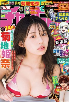 (Kikuchi Himena) Ảnh gái ngực bự khoe khe ngực chữ V sâu trong bộ bikini (13P)
