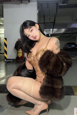 (Bộ sưu tập trực tuyến) Cô gái phúc lợi “Áo khoác lông chồn” VIP độc quyền của Yuyuko (55P)