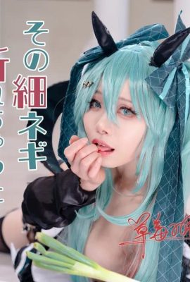 Hatsune Miku: Hành lá mỏng đó có bị gãy không?