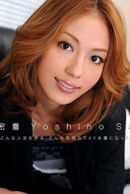 Sally Yoshino “CV khỏa thân số 9 (13P)”