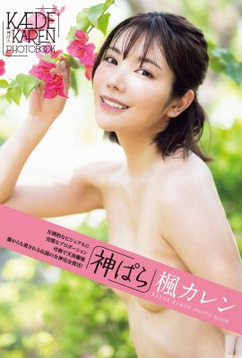 (Bộ mẫu Nhật Bản) Maple Blossom Love “Kami ぱら” (102P)