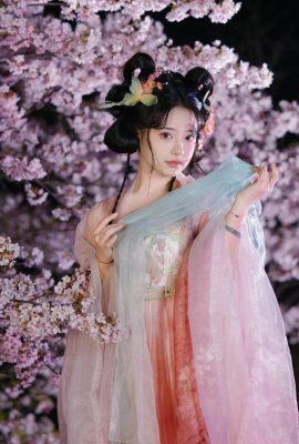 Hoa anh đào ban đêm mang theo hươu (22p)