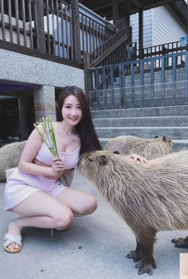 Sinh ra để trở nên xinh đẹp (trang web của Marienn_yang “gọi Fairy giảm dần xuống Trái đất (25p)