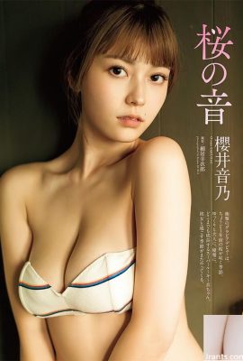 Chúc mừng năm mới ~ Xin vui lòng xem nhân vật duyên dáng của cô gái Sakurai (68p)