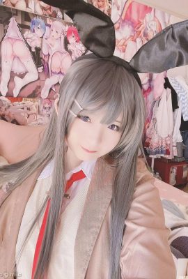 (Ngu ngốc) Mai Sakurajima Mai (27p)