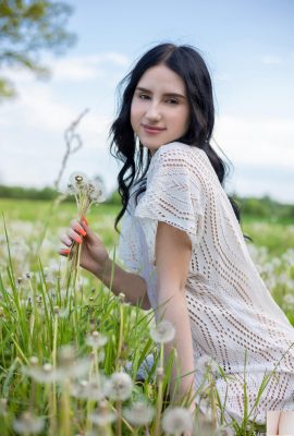 Sasha Jane – Đường bồ công anh (105p)