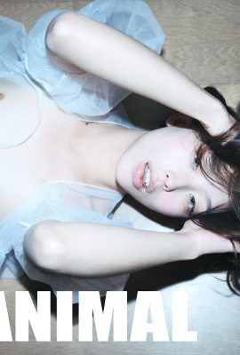 (Vẻ đẹp Twitter)@Lilymunster01 (80p)
