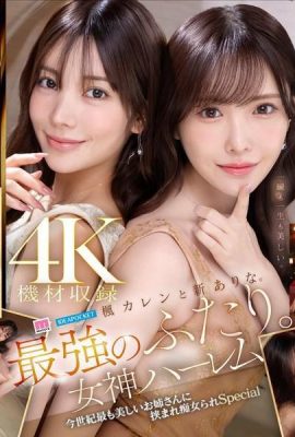 Kaede Karen và Shin Arina. Hai trong số những người mạnh nhất. Nữ thần hậu cung là người phụ nữ xinh đẹp nhất thế kỷ