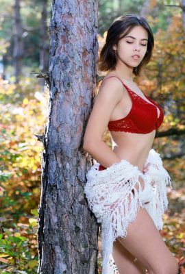 Dzhili – Đỉnh của thiên nhiên (113p)