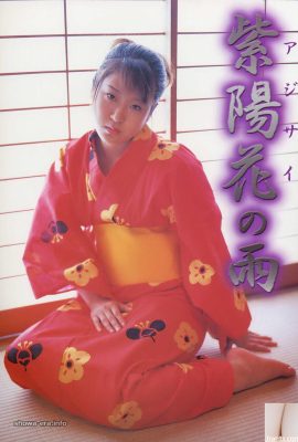 Ngôi sao khiêu dâm trong Sách Urabon-Sách Hoa Kỳ (52p)